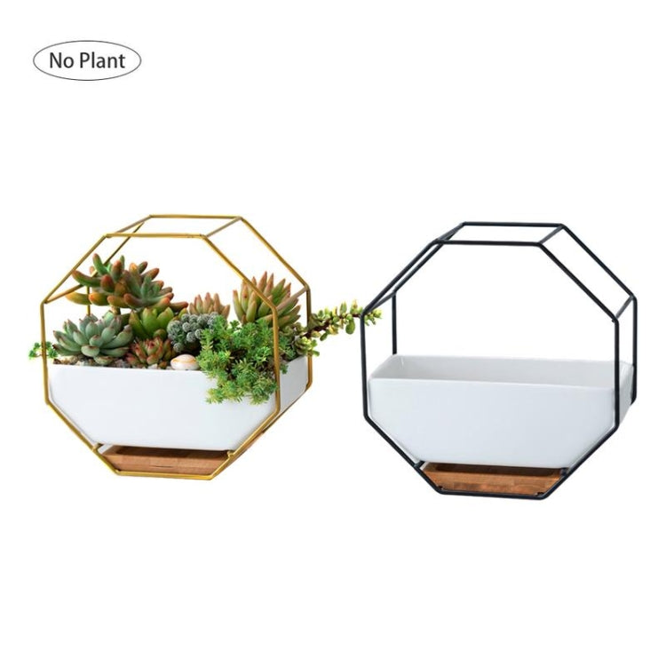 Simple Octagonal Geometric Wall Hanging Table Succulent Platter Bamboo Support Iron Frame Flower Pot