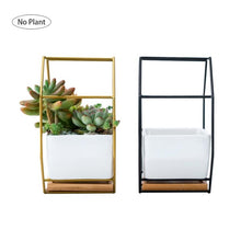 Load image into Gallery viewer, Simple Octagonal Geometric Wall Hanging Table Succulent Platter Bamboo Support Iron Frame Flower Pot
