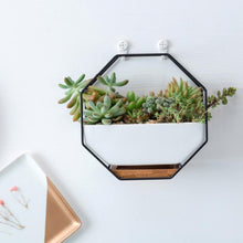 Load image into Gallery viewer, Simple Octagonal Geometric Wall Hanging Table Succulent Platter Bamboo Support Iron Frame Flower Pot