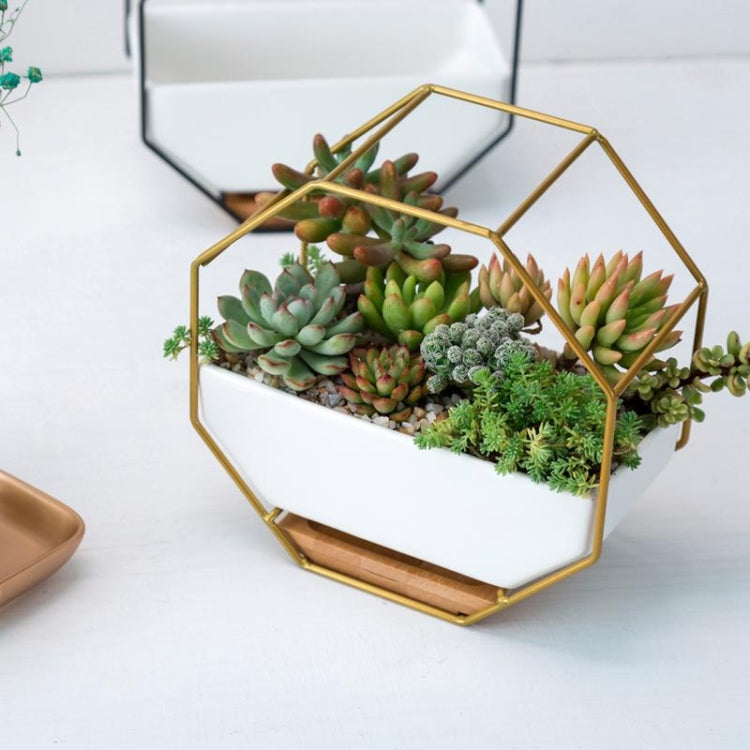 Simple Octagonal Geometric Wall Hanging Table Succulent Platter Bamboo Support Iron Frame Flower Pot