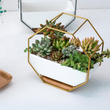 Load image into Gallery viewer, Simple Octagonal Geometric Wall Hanging Table Succulent Platter Bamboo Support Iron Frame Flower Pot