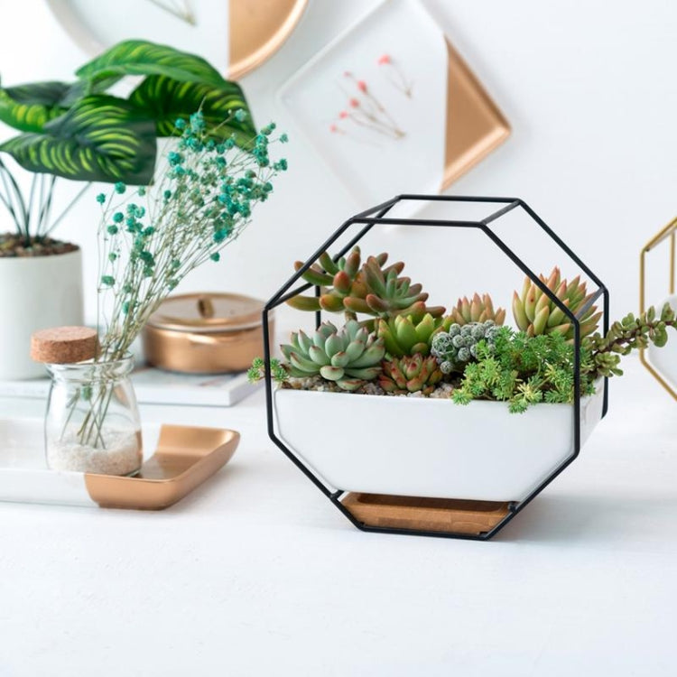 Simple Octagonal Geometric Wall Hanging Table Succulent Platter Bamboo Support Iron Frame Flower Pot