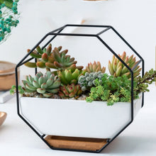 Load image into Gallery viewer, Simple Octagonal Geometric Wall Hanging Table Succulent Platter Bamboo Support Iron Frame Flower Pot