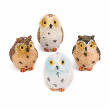 Load image into Gallery viewer, 2 PCS Moss Micro Landscape Creative Resin Mini Owl Ornament，Random Color Delivery