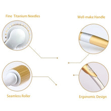 Load image into Gallery viewer, 2 PCS ZGTS192 Titanium Alloy Microneedle Facial Repair Nano Roller Instrument, 0.2MM, 0.25MM, 0.3MM, 0.5MM, 0.75MM, 1.0MM, 1.5MM, 2.0MM, 2.5MM, 3.0MM
