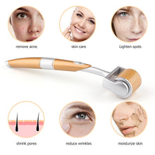 Load image into Gallery viewer, 2 PCS ZGTS192 Titanium Alloy Microneedle Facial Repair Nano Roller Instrument, 0.2MM, 0.25MM, 0.3MM, 0.5MM, 0.75MM, 1.0MM, 1.5MM, 2.0MM, 2.5MM, 3.0MM