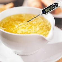 Load image into Gallery viewer, TP300 Food Temperature Counting Stainless Steel Plug-in Kitchen Electronic Digital Thermometer, TP300