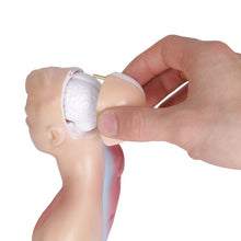 Load image into Gallery viewer, Medical Primary and Secondary Education 26CM Torso Model Human Anatomy Organ Structure Model