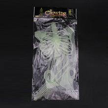 Load image into Gallery viewer, Luminous Skeleton Halloween Activity Props Bar Haunted House Decoration Supplies Fluorescent Skeleton, Small（35cm), Medium(90cm), Large(150cm)
