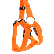 Load image into Gallery viewer, Double Sided LED Light Pet Harness Nylon Cat Dog Chest Strap Leash, XS, S, M, L, XL