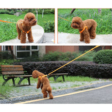 Load image into Gallery viewer, Double Sided LED Light Pet Harness Nylon Cat Dog Chest Strap Leash, XS, S, M, L, XL