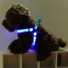 Load image into Gallery viewer, Double Sided LED Light Pet Harness Nylon Cat Dog Chest Strap Leash, XS, S, M, L, XL