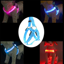 Load image into Gallery viewer, Double Sided LED Light Pet Harness Nylon Cat Dog Chest Strap Leash, XS, S, M, L, XL