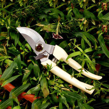 Load image into Gallery viewer, Garden Tools Stainless Steel Pruning Shears Fruit Tree Scissors Garden Branch Shears New And Old Packages Randomly Delivery