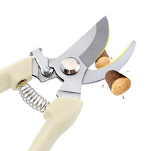 Load image into Gallery viewer, Garden Tools Stainless Steel Pruning Shears Fruit Tree Scissors Garden Branch Shears New And Old Packages Randomly Delivery