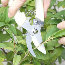 Load image into Gallery viewer, Garden Tools Stainless Steel Pruning Shears Fruit Tree Scissors Garden Branch Shears New And Old Packages Randomly Delivery