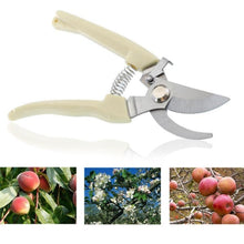 Load image into Gallery viewer, Garden Tools Stainless Steel Pruning Shears Fruit Tree Scissors Garden Branch Shears New And Old Packages Randomly Delivery