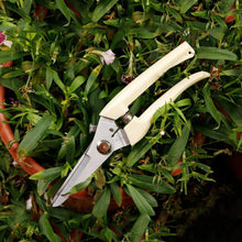 Load image into Gallery viewer, Garden Tools Stainless Steel Pruning Shears Fruit Tree Scissors Garden Branch Shears New And Old Packages Randomly Delivery