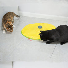 Load image into Gallery viewer, Cat Playing Board Electric Cat Turntable Automatic Cat Toy, Cat Playing Board