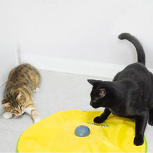 Load image into Gallery viewer, Cat Playing Board Electric Cat Turntable Automatic Cat Toy, Cat Playing Board