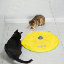 Load image into Gallery viewer, Cat Playing Board Electric Cat Turntable Automatic Cat Toy, Cat Playing Board