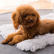Load image into Gallery viewer, Autumn and Winter Warm Universal Square Pet Cat Dog Plush Pad, S, L, XL