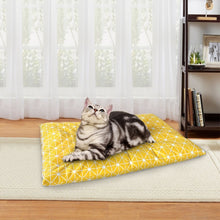 Load image into Gallery viewer, Winter Thick Warm Pet Sleeping Mat Cat Dog Sleeping Bed, S, M, L, XL