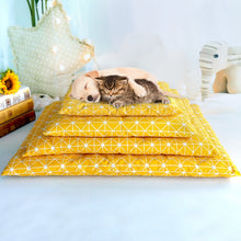 Load image into Gallery viewer, Winter Thick Warm Pet Sleeping Mat Cat Dog Sleeping Bed, S, M, L, XL