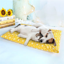 Load image into Gallery viewer, Winter Thick Warm Pet Sleeping Mat Cat Dog Sleeping Bed, S, M, L, XL