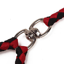 Load image into Gallery viewer, Double Dog Leashes Anti-winding Pet Traction Rope, 1.4m