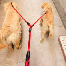 Load image into Gallery viewer, Double Dog Leashes Anti-winding Pet Traction Rope, 1.4m