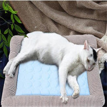 Load image into Gallery viewer, Summer Ice Silk Nest Pads Small and Medium-sized Multifunctional Cool Pet Nest Dog Cat Pad, S, M, L