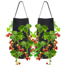 Load image into Gallery viewer, Felt Hanging Strawberry Naked Root Plant Non-woven Planting Bag, 22 x 38 cm, 50 x 30 x 25 cm
