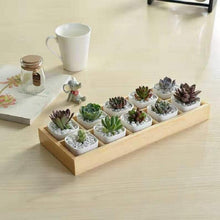 Load image into Gallery viewer, Succulent Wooden Storage Box Landscape Garden Decoration, 3 Cells, 5 Cells, 6 Cells, 10 Cells