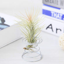 Load image into Gallery viewer, 2 PCS Air Aluminum Wire Pineapple Rooting Holder Spring Base, Pineapple Rooting Holder
