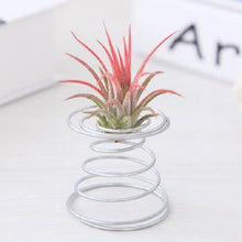 Load image into Gallery viewer, 2 PCS Air Aluminum Wire Pineapple Rooting Holder Spring Base, Pineapple Rooting Holder