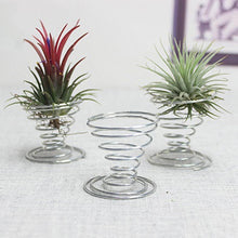 Load image into Gallery viewer, 2 PCS Air Aluminum Wire Pineapple Rooting Holder Spring Base, Pineapple Rooting Holder