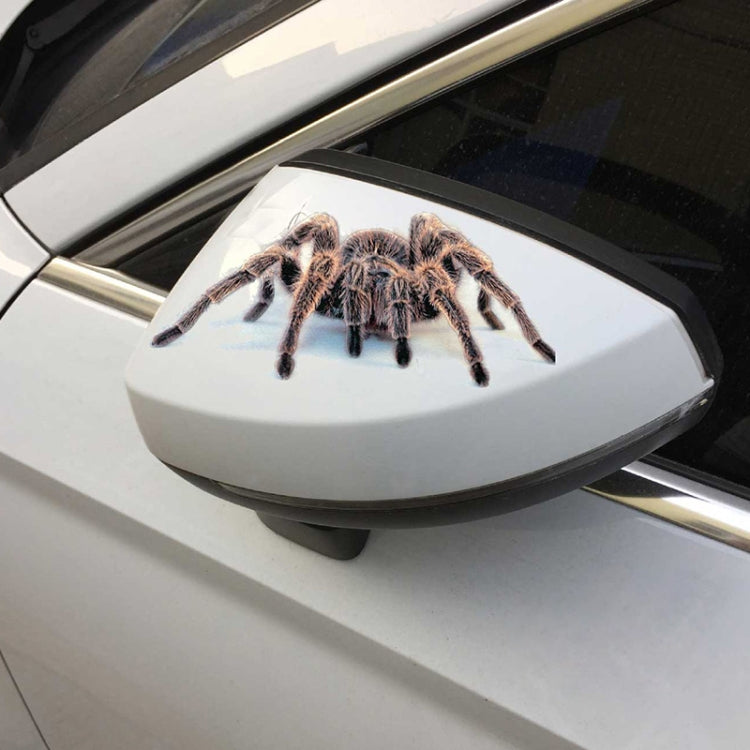 Creative Personality Scratch Cover  Car Body Sticker, Black Spider, Spider Pair, Scorpion, Lizard