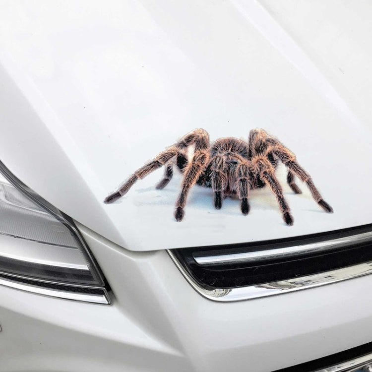 Creative Personality Scratch Cover  Car Body Sticker, Black Spider, Spider Pair, Scorpion, Lizard
