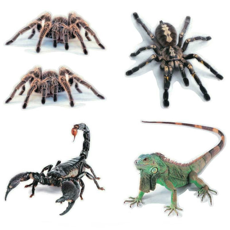 Creative Personality Scratch Cover  Car Body Sticker, Black Spider, Spider Pair, Scorpion, Lizard