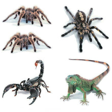 Load image into Gallery viewer, Creative Personality Scratch Cover  Car Body Sticker, Black Spider, Spider Pair, Scorpion, Lizard