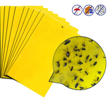Load image into Gallery viewer, Double-sided Stick Insect Board Yellow Board Melon Fruit Fly Trap Board
