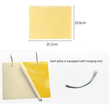 Load image into Gallery viewer, Double-sided Stick Insect Board Yellow Board Melon Fruit Fly Trap Board