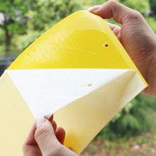 Load image into Gallery viewer, Double-sided Stick Insect Board Yellow Board Melon Fruit Fly Trap Board