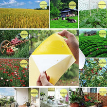 Load image into Gallery viewer, Double-sided Stick Insect Board Yellow Board Melon Fruit Fly Trap Board