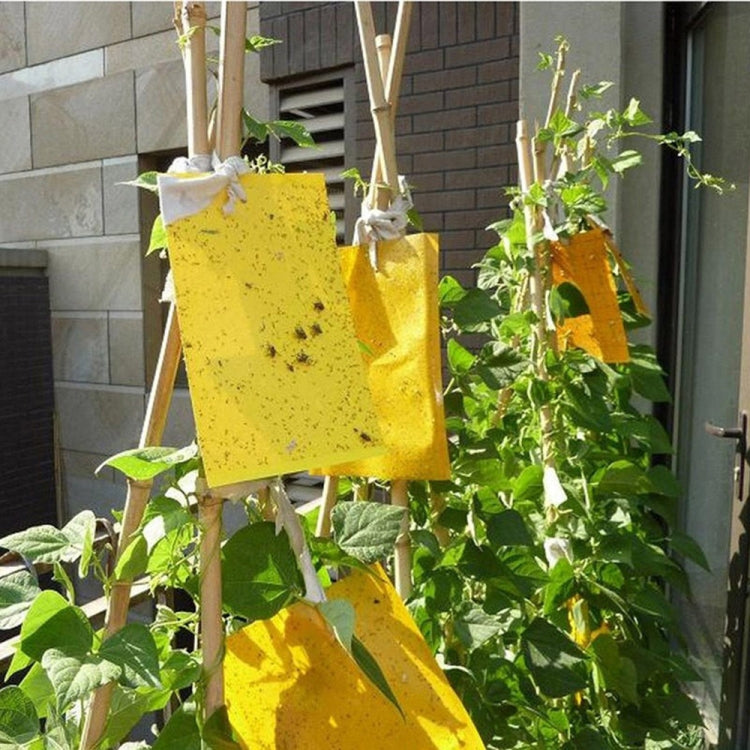 Double-sided Stick Insect Board Yellow Board Melon Fruit Fly Trap Board