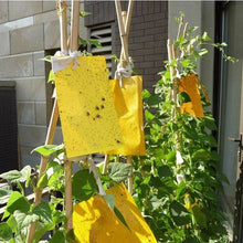 Load image into Gallery viewer, Double-sided Stick Insect Board Yellow Board Melon Fruit Fly Trap Board