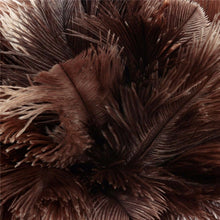 Load image into Gallery viewer, Feather Duster Brush Wooden Handle Anti-static Household Car Dust Collector, Dust Collector