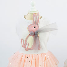 Load image into Gallery viewer, Pet Clothing Cat Dog Spring and Summer Obedient Rabbit Skirt, XS, S, M, L, XL