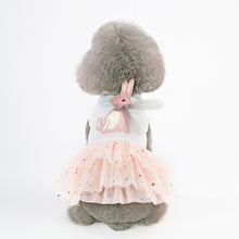 Load image into Gallery viewer, Pet Clothing Cat Dog Spring and Summer Obedient Rabbit Skirt, XS, S, M, L, XL